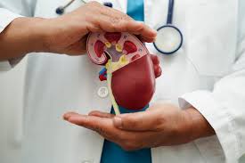 Uro-oncology (cancers of kidney, bladder, prostate)